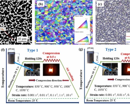 Comprehensive study on hot deformation behaviour and mechanism of Ti-900 alloy